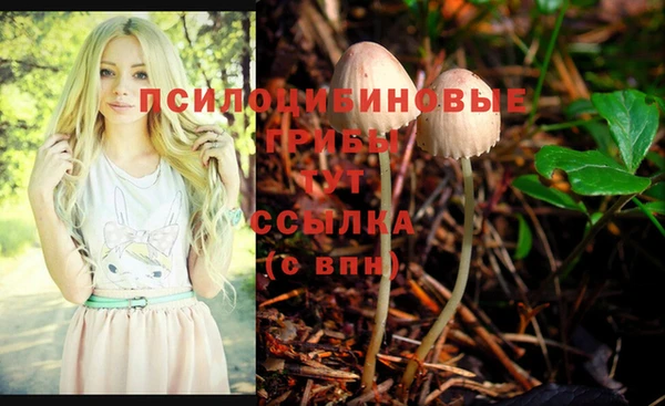 бошки Богданович