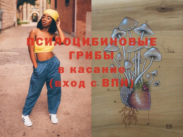 синтетический гашиш Богородск