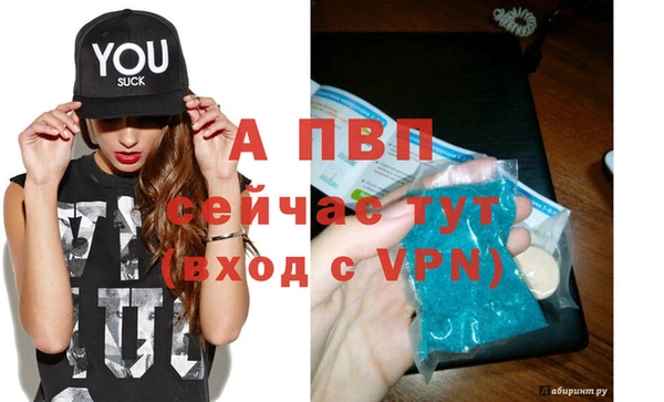 бошки Богданович