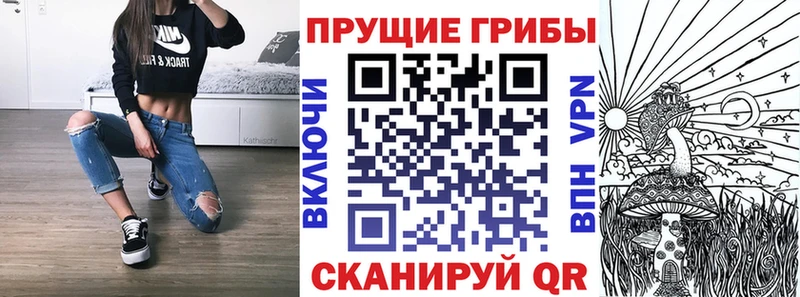 купить закладку  Томск  Галлюциногенные грибы Psilocybine cubensis 
